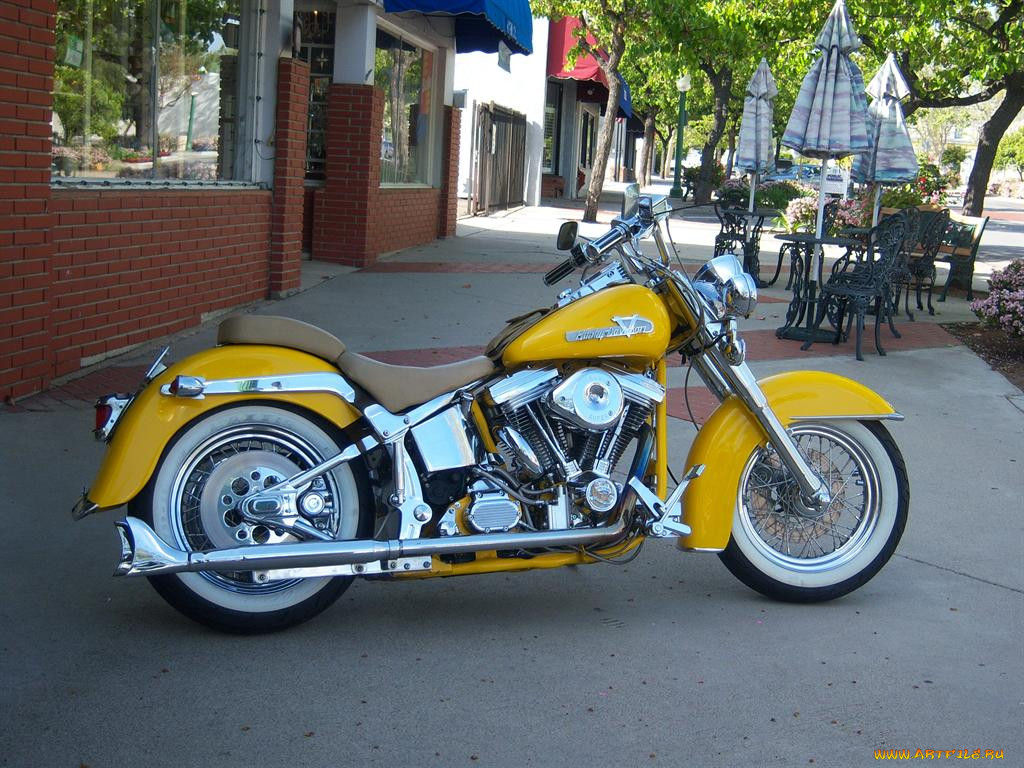 , harley, davidson